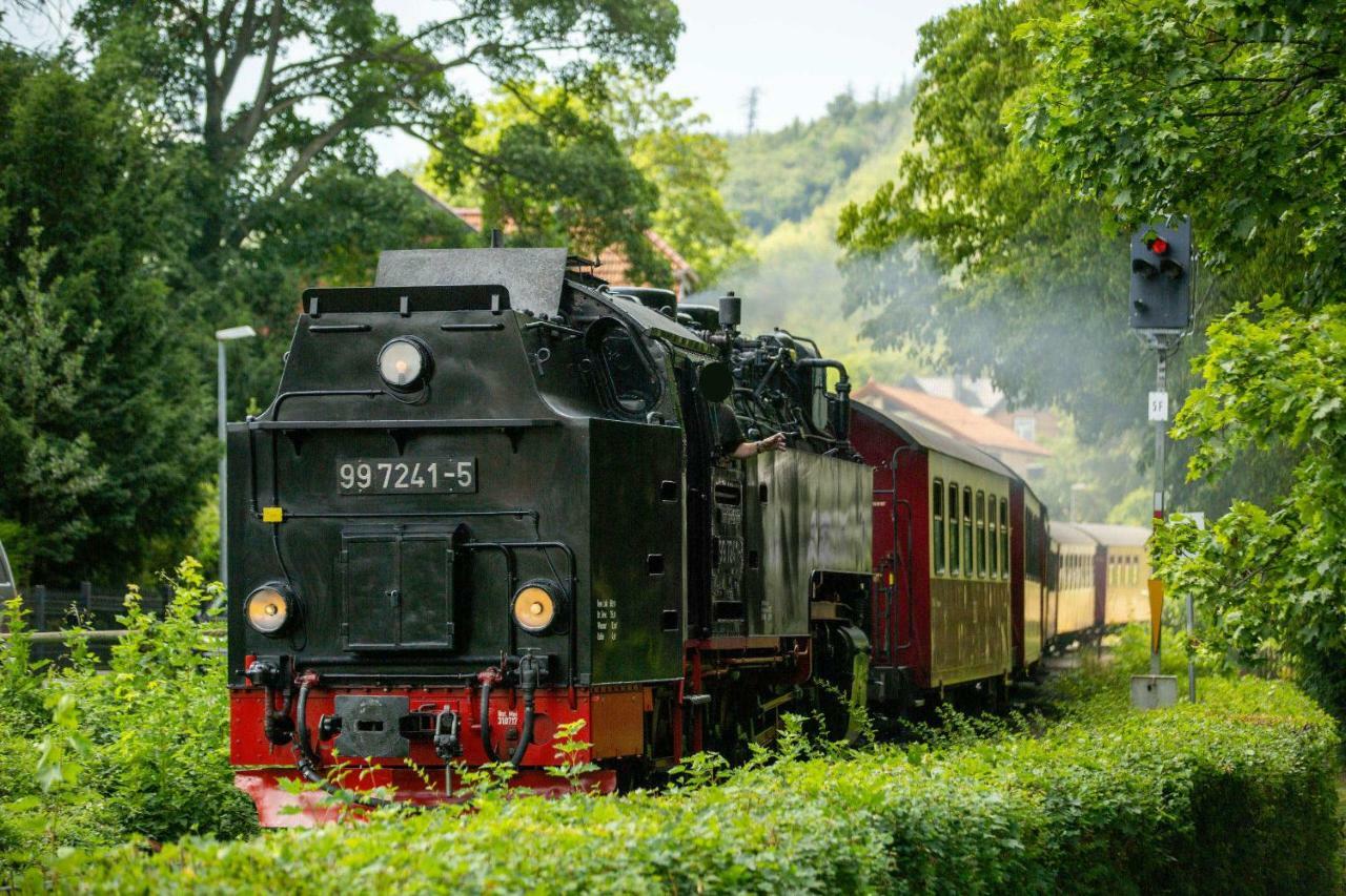 Villa Parkhaus Wernigerode Buitenkant foto